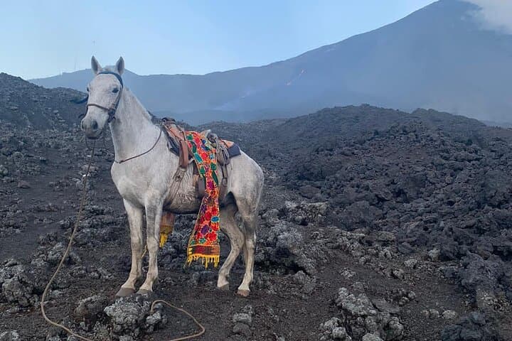 Horseback on Pacaya: Ride Lava Beds and Eat Pizza Cooked on the Volcano photo 5