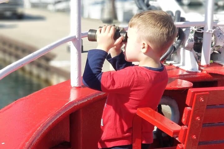 Chicago Fireboat River & Lake Cruise Aboard the Fred A Busse — Architecture & Fire History photo 6