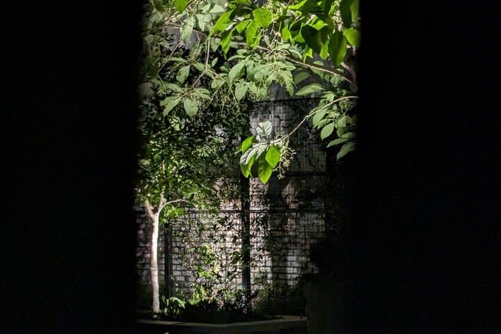 Savannah Ghost Walking Tour: Interactive Paranormal Experience in Historic Squares photo 5