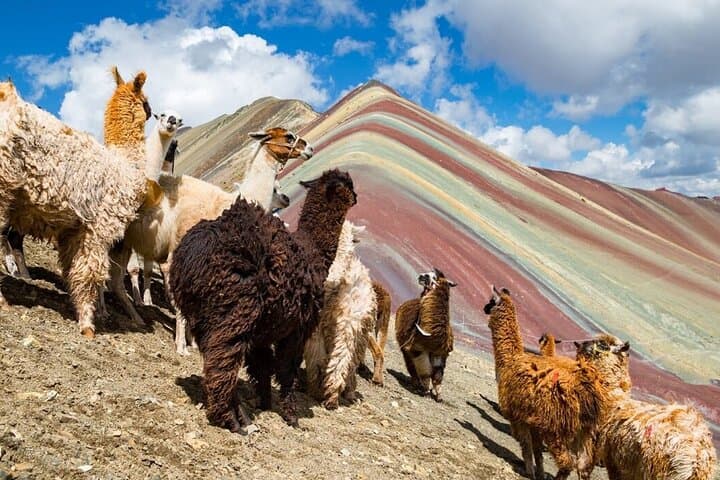 Vinicunca (Rainbow Mountain) Day Hike from Cusco — Vinicunca & Red Valley photo 5