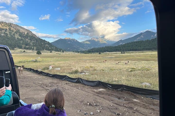Rise and Bugle: Elk Rut Tours in Rocky Mountain National Park photo 6