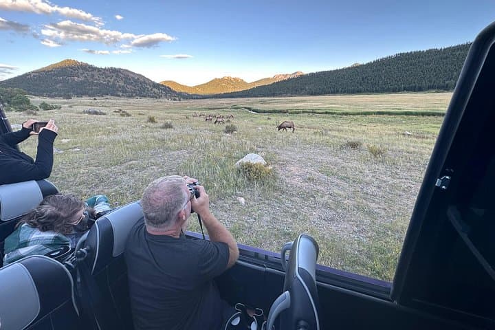 Rise and Bugle: Elk Rut Tours in Rocky Mountain National Park