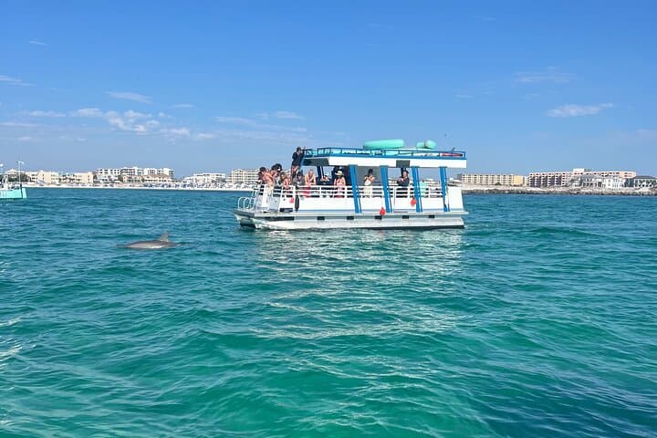 Destin One-Hour Dolphin-Watching Harbor Cruise