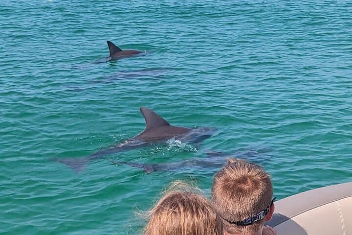 Destin One-Hour Dolphin-Watching Harbor Cruise photo 4