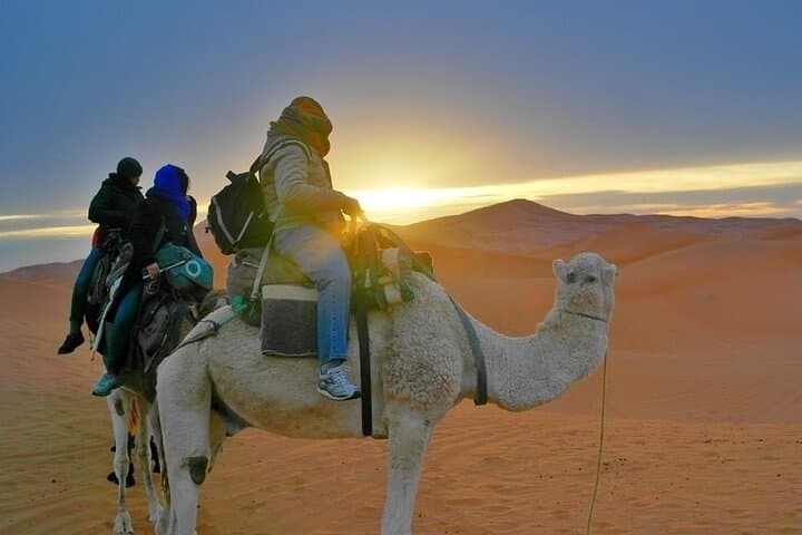 Fes to Merzouga: 2-Day Sahara Camel Trek and Desert Camp photo 5