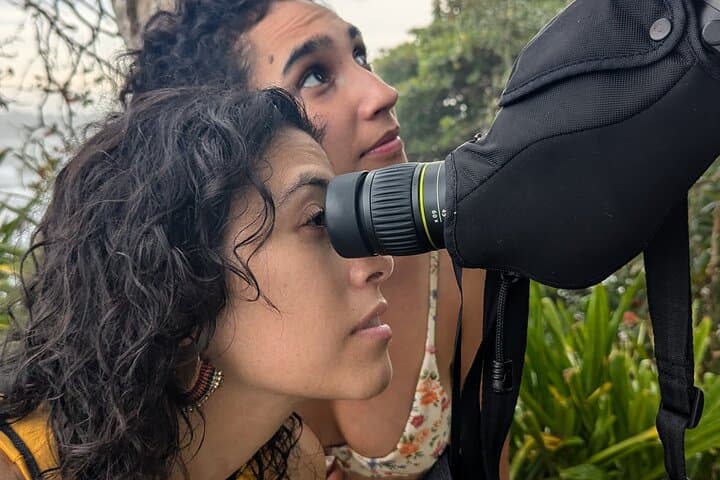 Puerto Viejo Sloth-Spotting Walking Tour — Wildlife, History & Caribbean Viewpoint