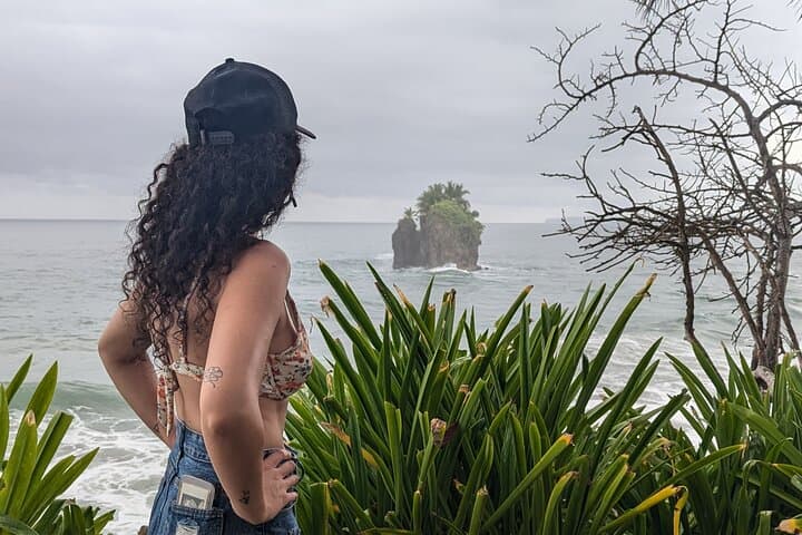 Puerto Viejo Sloth-Spotting Walking Tour — Wildlife, History & Caribbean Viewpoint photo 2
