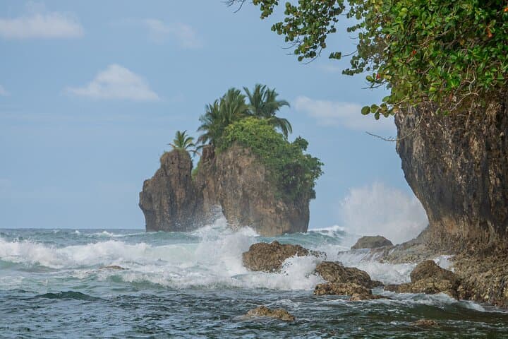 Puerto Viejo Sloth-Spotting Walking Tour — Wildlife, History & Caribbean Viewpoint photo 6