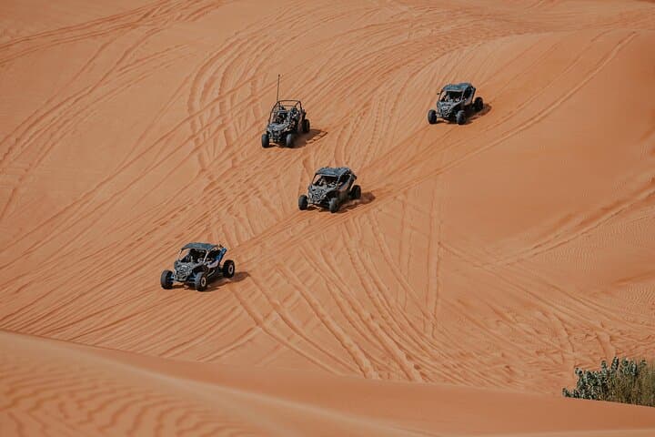 Dubai Desert Safari Lahbab: Dune Bashing, Sandboarding & Bedouin BBQ photo 5