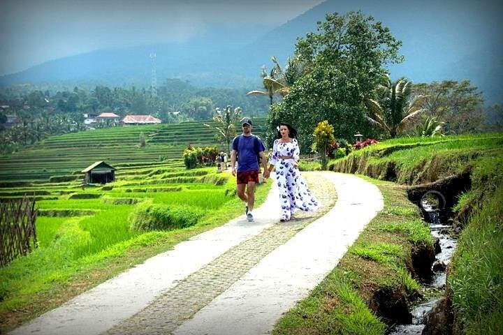 Jatiluwih Rice Terraces & Bali Jungle Swing Day Tour