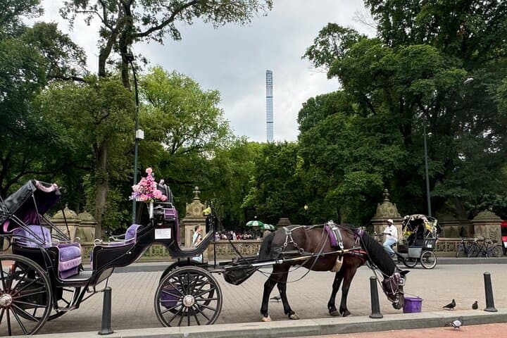 Central Park Horse-Drawn Carriage Ride: Historic Landmarks & Photo Stops photo 5