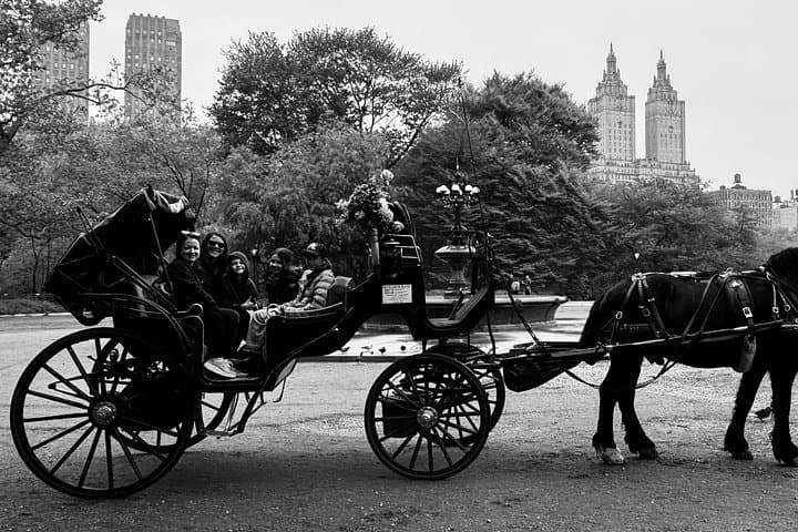 Central Park Horse-Drawn Carriage Ride: Historic Landmarks & Photo Stops photo 6