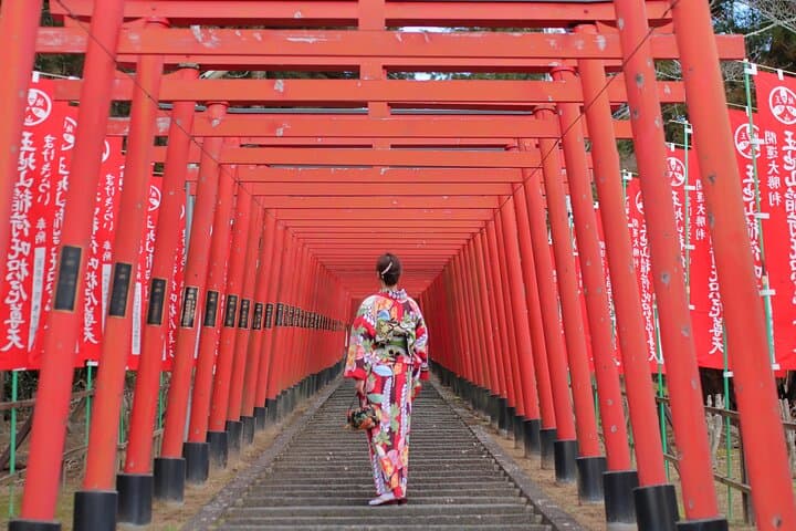 strawberry-picking-and-samurai-streets-tamba-sasayama-day-tour photo 4