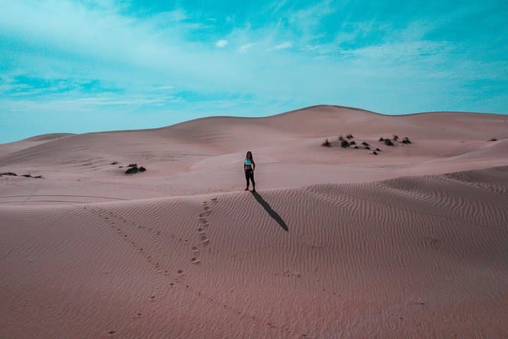Morning Desert Safari Dubai: Camel Ride, Dune Bashing & Sandboarding photo 3