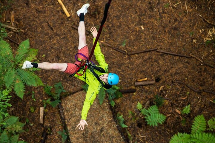 Rotorua Redwoods Adventure: Altitude Zipline, Treewalk & Glowworms photo 2