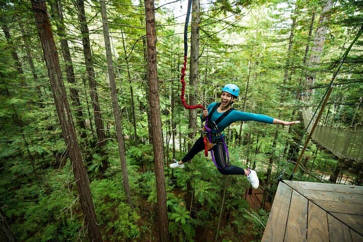 Rotorua Redwoods Altitude High Ropes Adventure in Whakarewarewa Forest photo 3