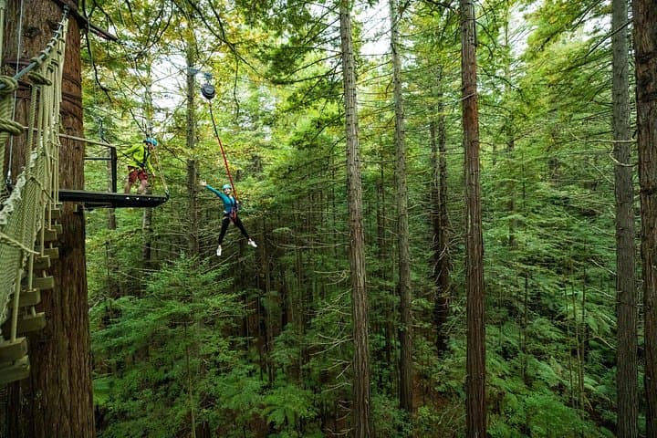 Rotorua Redwoods Altitude High Ropes Adventure in Whakarewarewa Forest photo 4