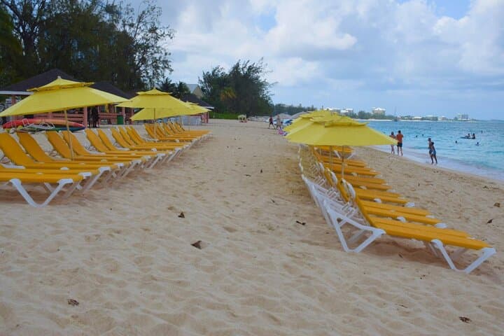 Seven Mile Beach, Stingray City & Coral Gardens: Small-Group Snorkel Tour in Grand Cayman photo 3
