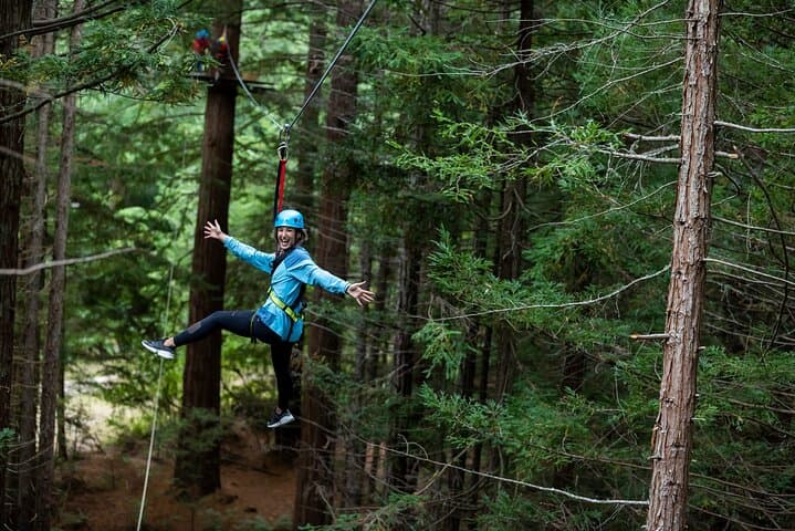 Rotorua Redwoods Adventure: Altitude Zipline, Treewalk & Glowworms photo 4