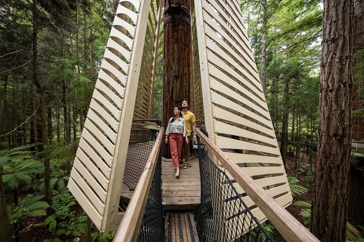 Rotorua Redwoods Adventure: Altitude Zipline, Treewalk & Glowworms photo 6