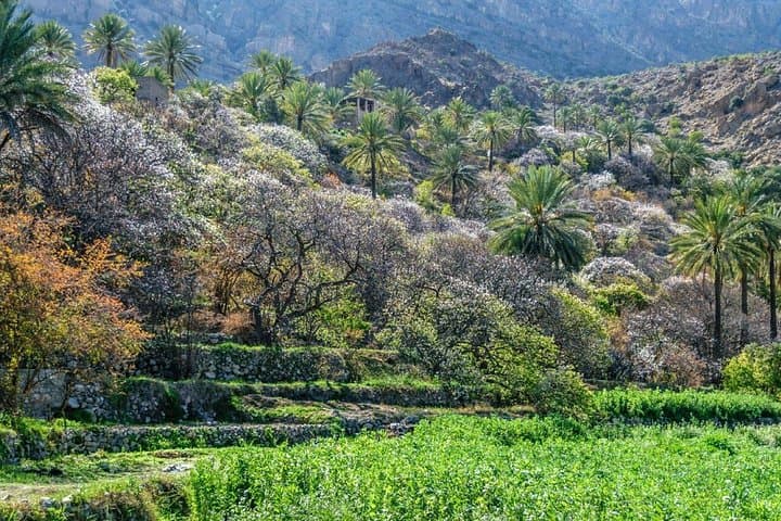 Day Trip to Wekan Village, Nakhal Fort & Hot Spring from Muscat photo 2