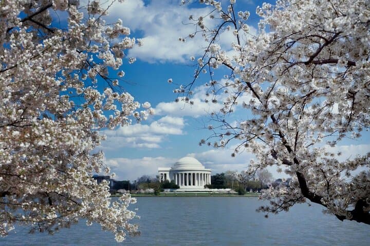 Monuments Express: Private SUV Tour of Washington, D.C. photo 3
