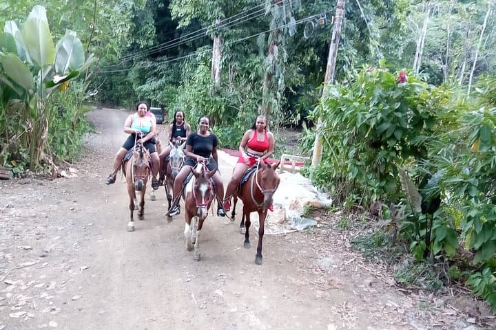 Jaco Beach Horseback Riding: 2-Hour Jungle & Beach Equine Adventure photo 3