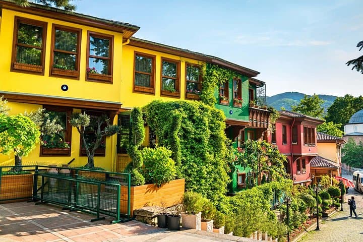Green Bursa & Uludağ Day Trip from Istanbul — Cable Car, Green Mosque & Mountain Lunch photo 4