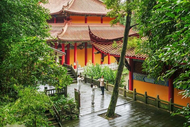 Qingcheng Mountain Taichi & Tea Tasting: Taoist Temple Class Near Dujiangyan photo 3