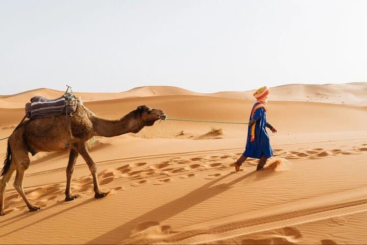 Full Merzouga Desert Experience: Camel Ride, Night Camp & 4x4 Adventure photo 6