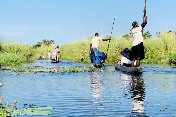 Full-Day Mokoro Adventure in the Okavango Delta — Mokoro Safari from Maun photo 3