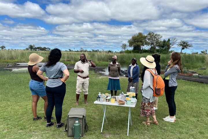 Full-Day Mokoro Adventure in the Okavango Delta — Mokoro Safari from Maun photo 4