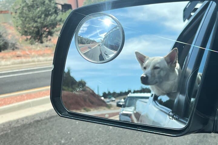 Sedona Magical Vortex Adventure: Guide to the 3–4 Hour Vortex Tour photo 4