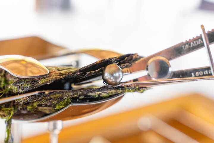 Harvesting the Black Pearl: Bora Bora Pearl Farm Snorkel & Oyster Opening photo 2