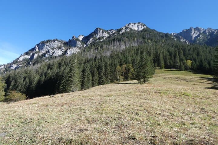 Kościeliska Valley Hike: Easy Private Guided Walk from Zakopane photo 3