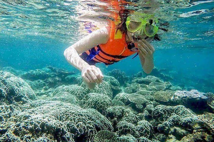 Cham Island Snorkeling Day Trip from Hoi An or Da Nang — Cu Lao Cham Marine Reserve Guide photo 3