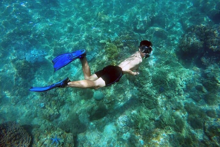 Cham Island Snorkeling Day Trip from Hoi An or Da Nang — Cu Lao Cham Marine Reserve Guide photo 4