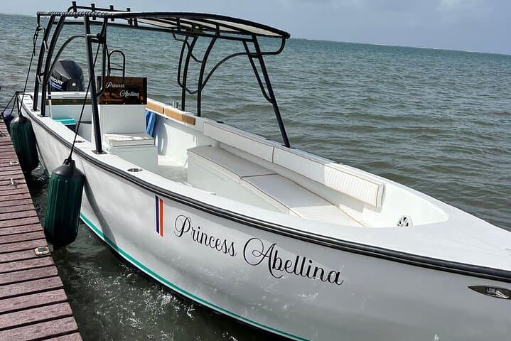 Full-Day San Pedro to Caye Caulker Hop-On Hop-Off Boat Tour — Snorkel Hol Chan & Shark Ray Alley photo 6
