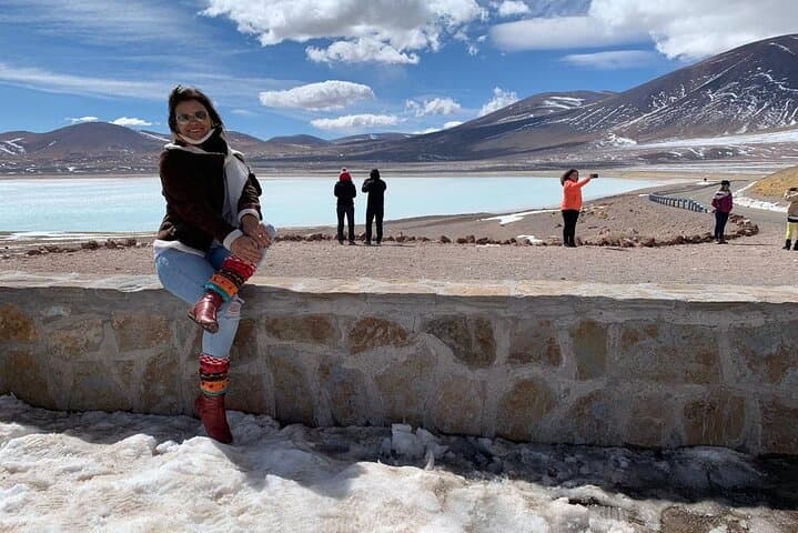 Altiplanicas & Piedras Rojas: Full-Day Altiplano Tour from San Pedro de Atacama photo 6