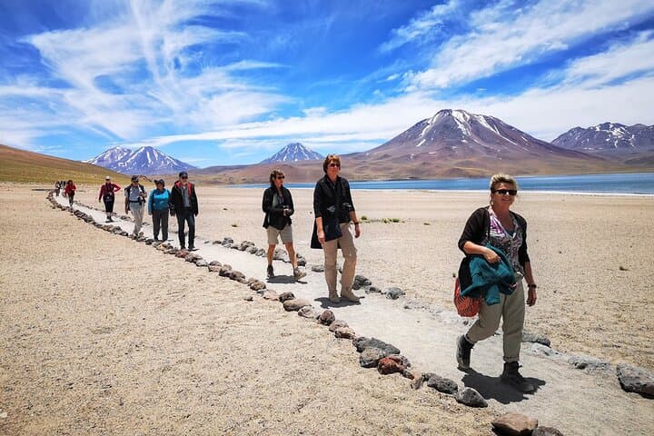 Altiplanicas & Piedras Rojas: Full-Day Altiplano Tour from San Pedro de Atacama photo 4