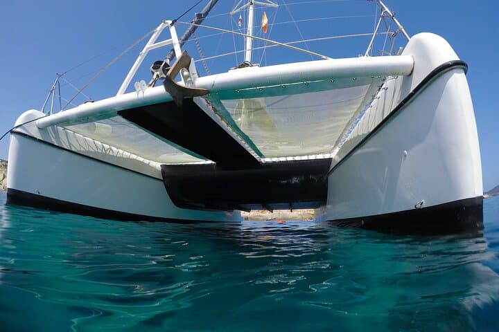 From Stintino Catamaran Tour to Asinara Island — Swim La Pelosa & Fornelli photo 5