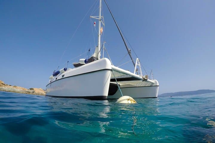 From Stintino Catamaran Tour to Asinara Island — Swim La Pelosa & Fornelli photo 6