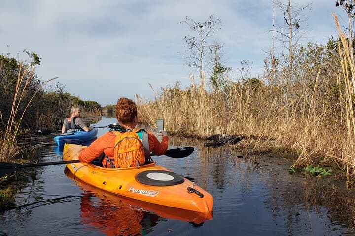 Explore the Okefenokee Swamp: Guided Kayak Tour into Georgia’s Wetland Wilderness