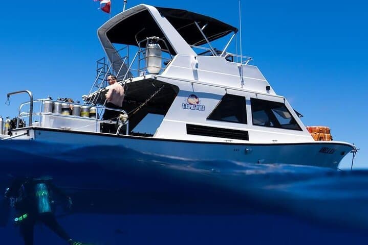Afternoon Scuba Charter from Kukuiula Harbor — Poipu's Best Dive Sites