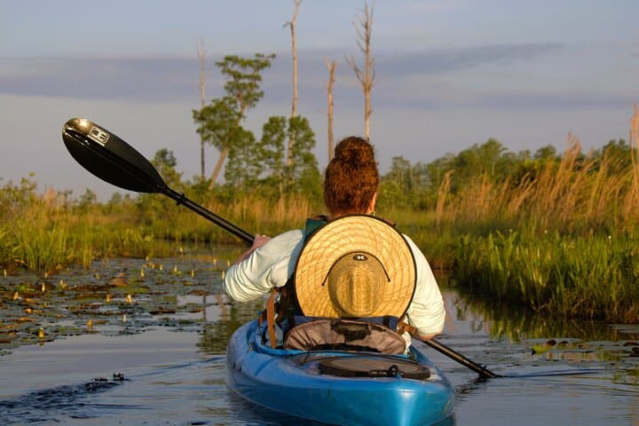 Explore the Okefenokee Swamp: Guided Kayak Tour into Georgia’s Wetland Wilderness photo 2