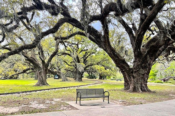 New Orleans Driving Tour — Bayou St. John, City Park & Treme (3‑Hour) photo 3