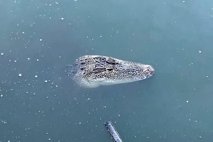 New Orleans Driving Tour — Bayou St. John, City Park & Treme (3‑Hour) photo 4
