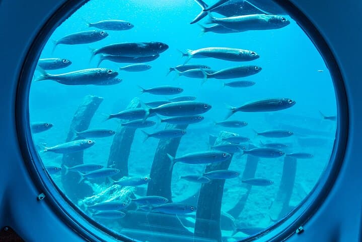 Puerto de Mogán Submarine Adventure: La Atlántida Reef & Wreck Excursion photo 6