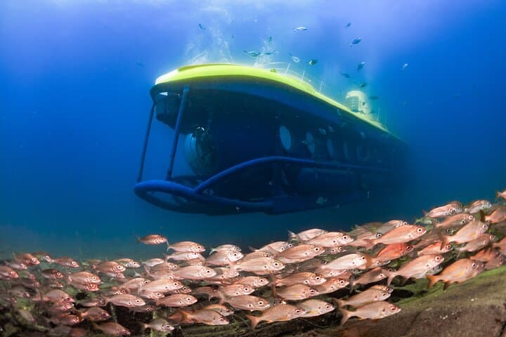 Puerto de Mogán Submarine Adventure: La Atlántida Reef & Wreck Excursion photo 5