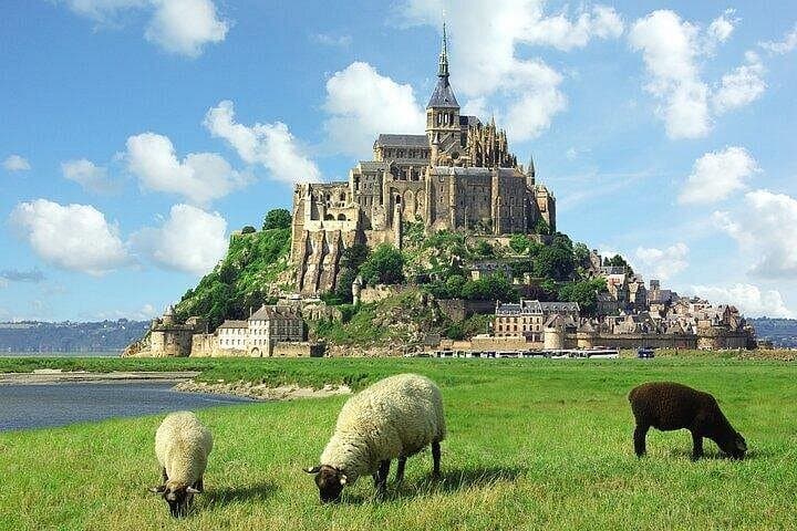 Mont Saint-Michel and D-Day Beaches: Private Day Tour from Le Havre photo 1